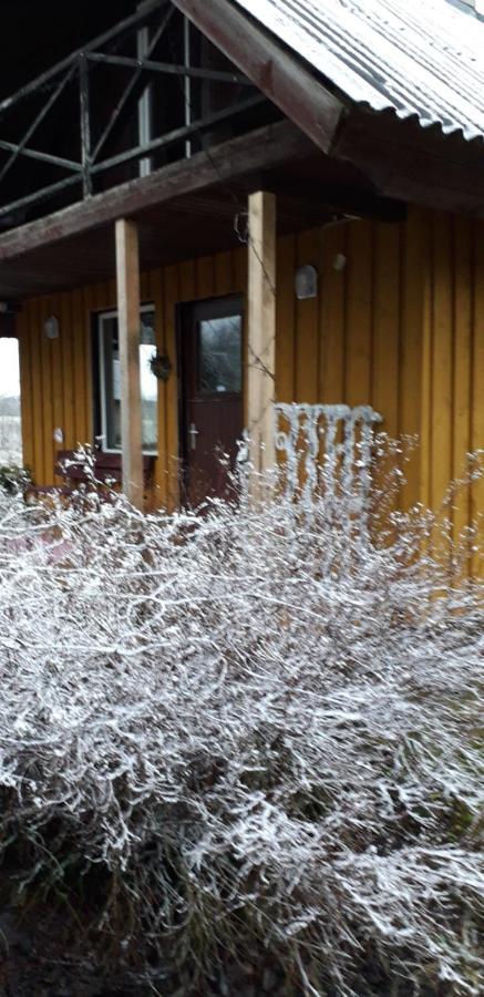 Willa Hommik House Otepää Zewnętrze zdjęcie
