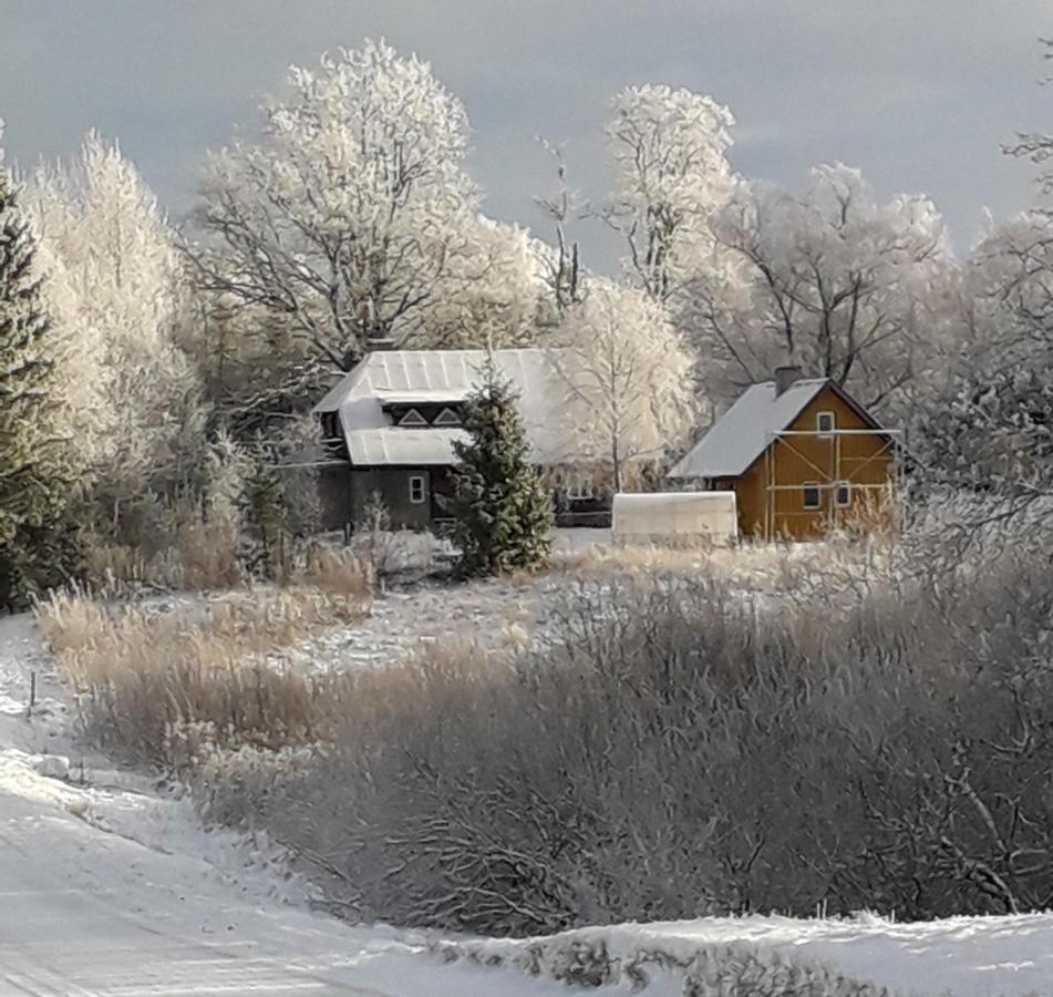 Willa Hommik House Otepää Zewnętrze zdjęcie