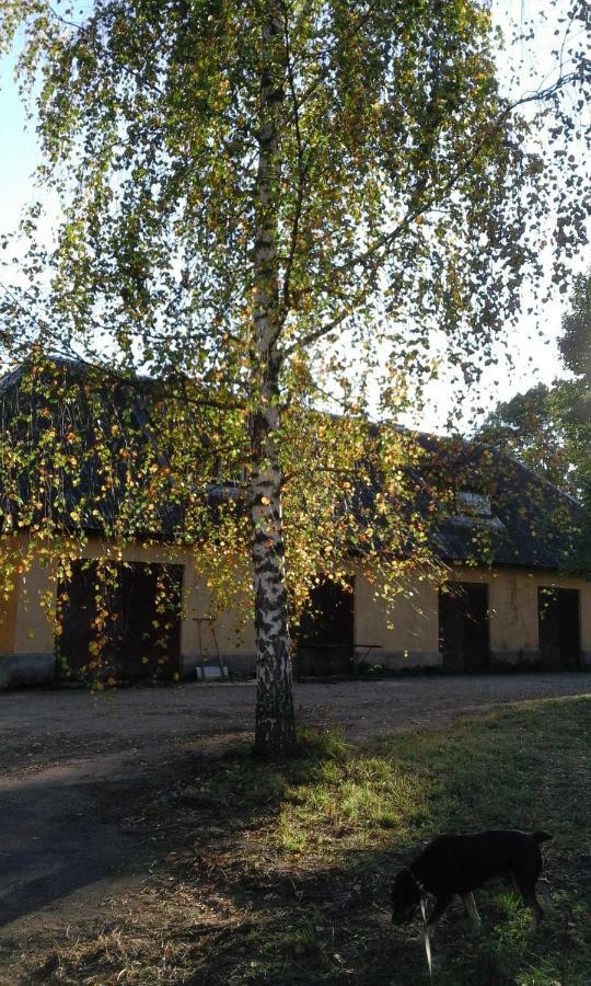 Willa Hommik House Otepää Zewnętrze zdjęcie