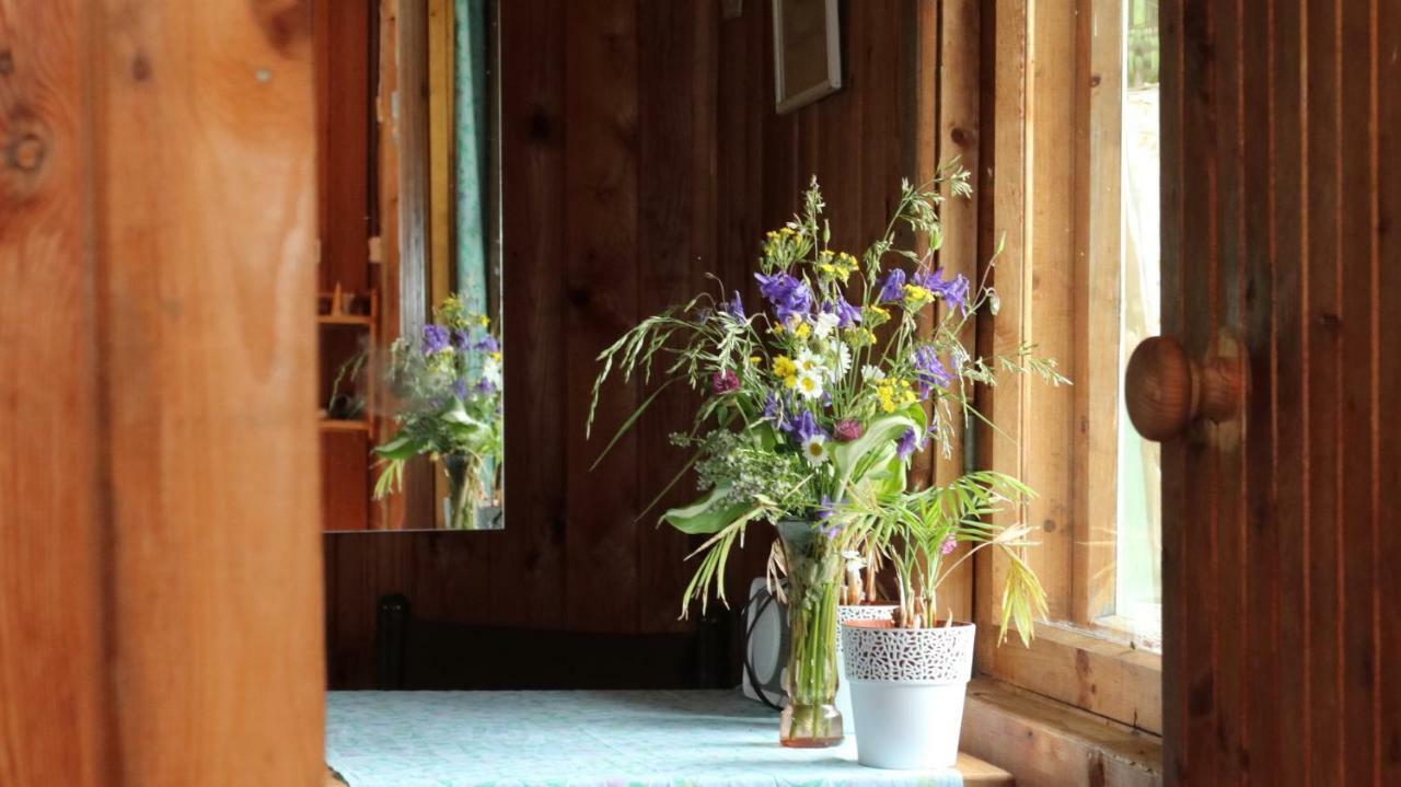 Willa Hommik House Otepää Zewnętrze zdjęcie